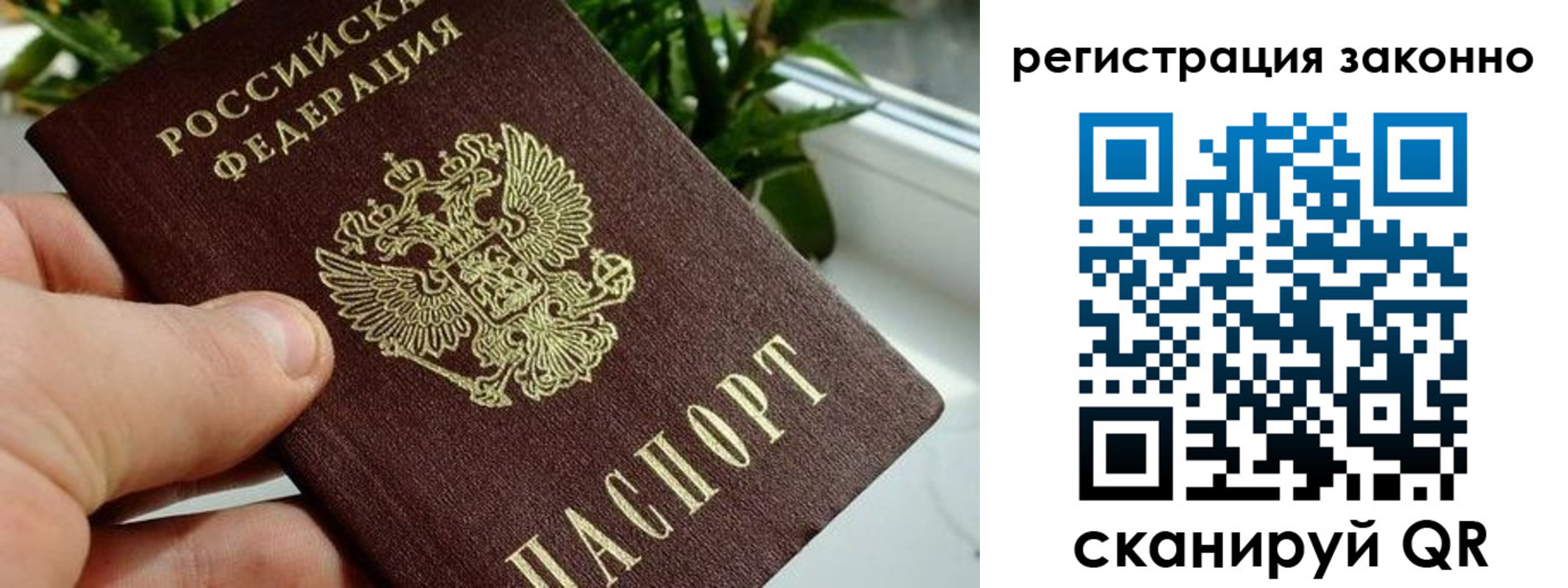 прописка гарантия в Боре